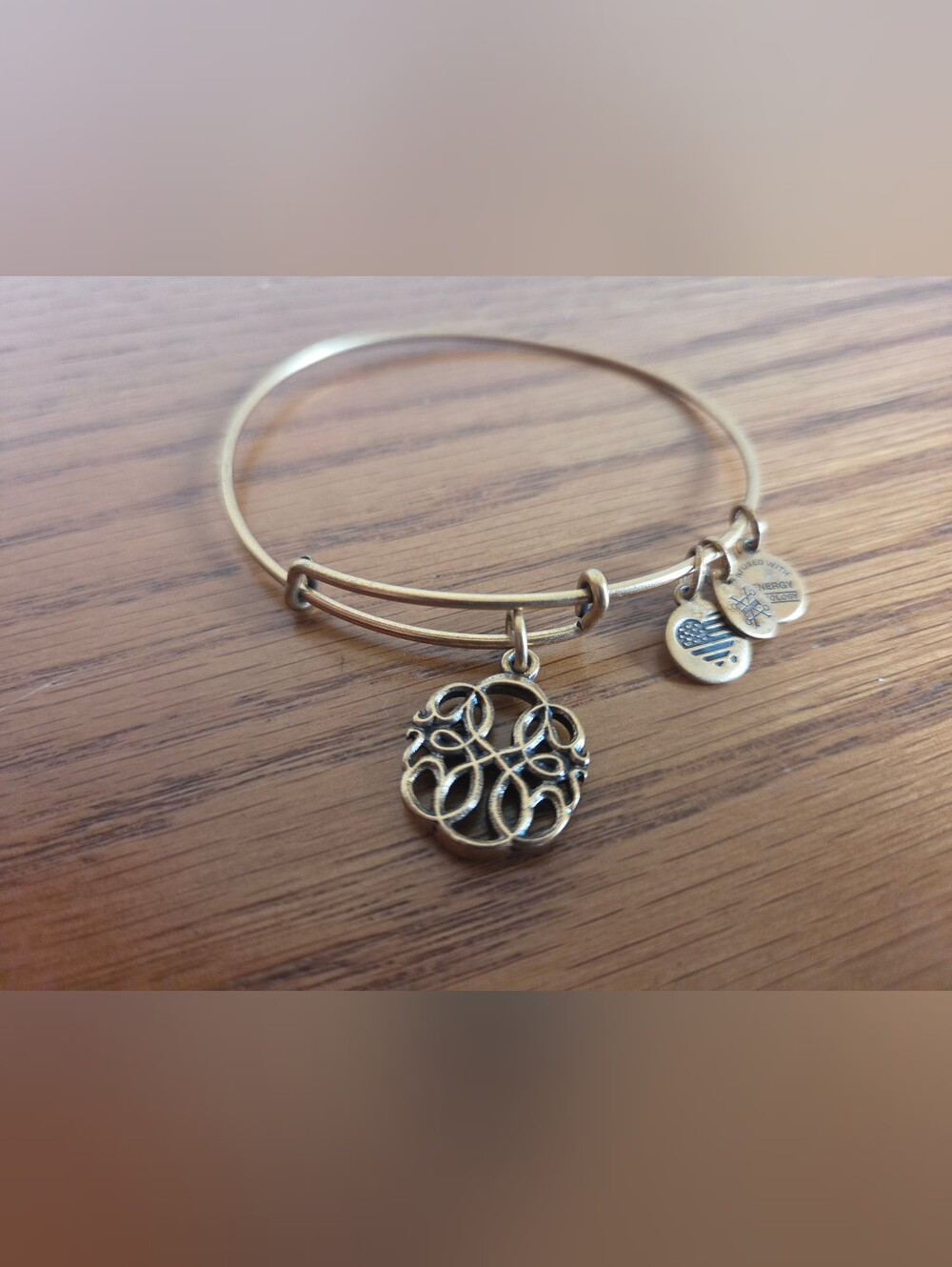 Alex and Ani Path of Life Charm Bangle Bracelet- Retired
